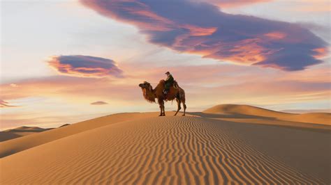 Explore the Best Camel